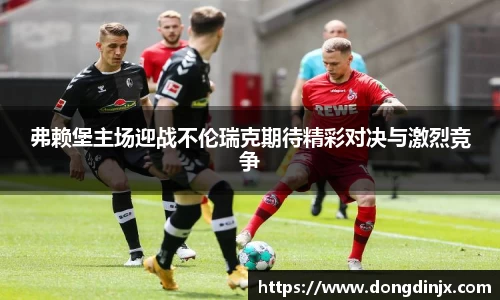 DB旗舰首页