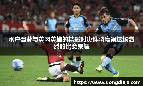 水户蜀葵与黄冈黄蜂的精彩对决谁将赢得这场激烈的比赛荣耀