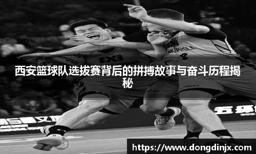 DB旗舰官网